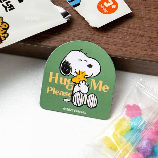 Peanuts Snoopy & Friends Tiny Magnet Mystery Blind Box