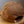 Load image into Gallery viewer, Ant Hat