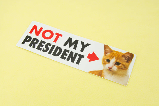 NOT My President (Kitten) Bumper Sticker