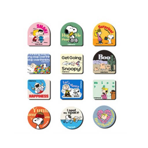 Peanuts Snoopy & Friends Tiny Magnet Mystery Blind Box
