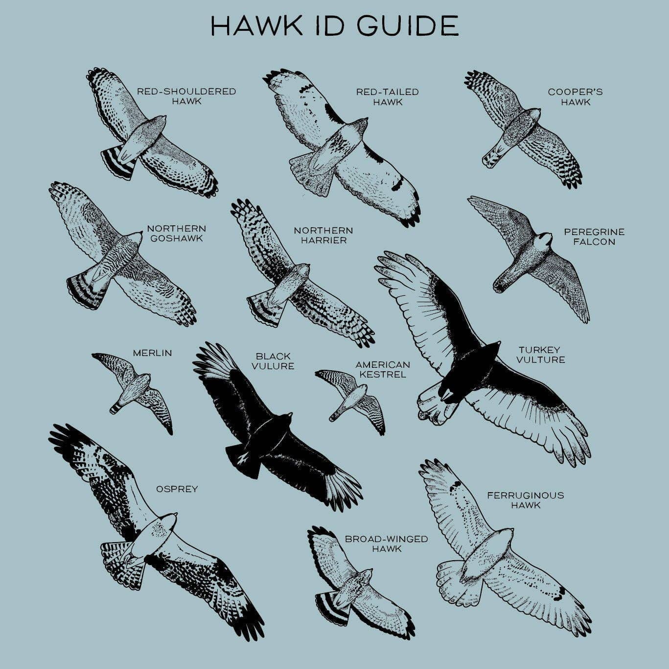 Hawks in Flight Nalgene Water Bottle | Seafoam