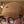 Load image into Gallery viewer, Ant Hat