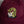 Load image into Gallery viewer, A Lot on my Plate Hat | Embroidered Dad Hat: Maroon
