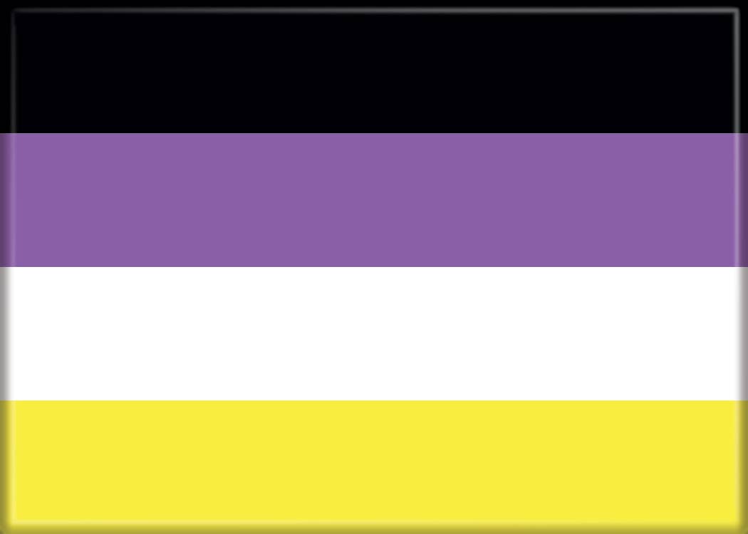 Nonbinary Flag Magnet