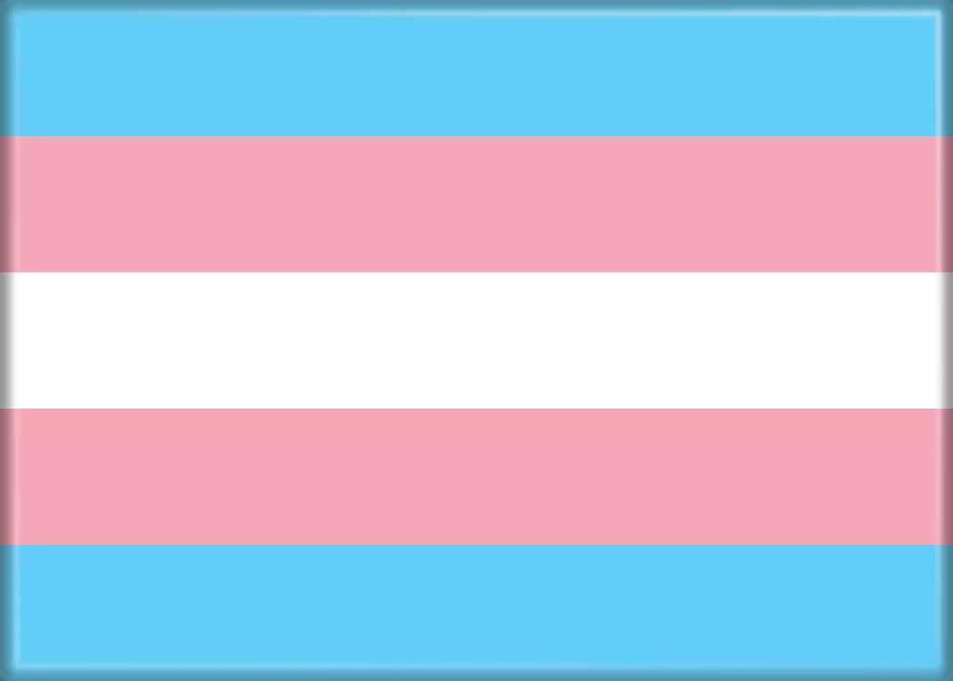 Transgender Flag Magnet