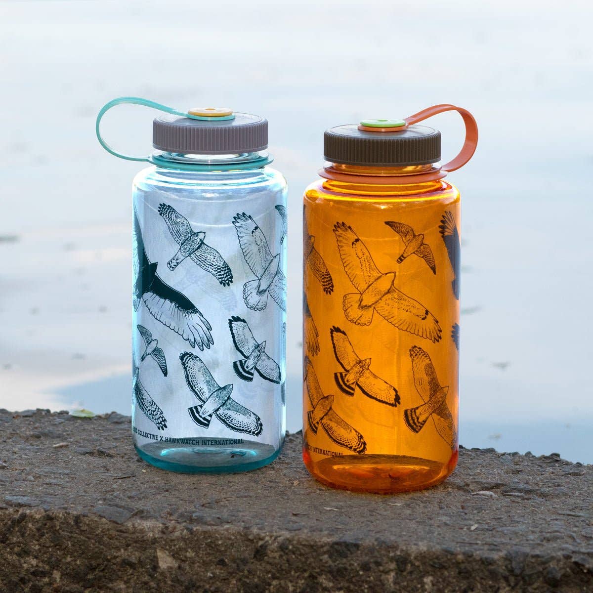 Hawks in Flight Nalgene Water Bottle | Seafoam