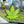 Load image into Gallery viewer, Tokeface Air Freshener