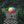 Load image into Gallery viewer, Rainbow Umbrella