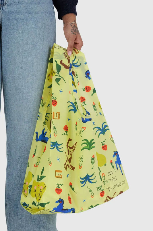 Standard Baggu - Painted Prairie