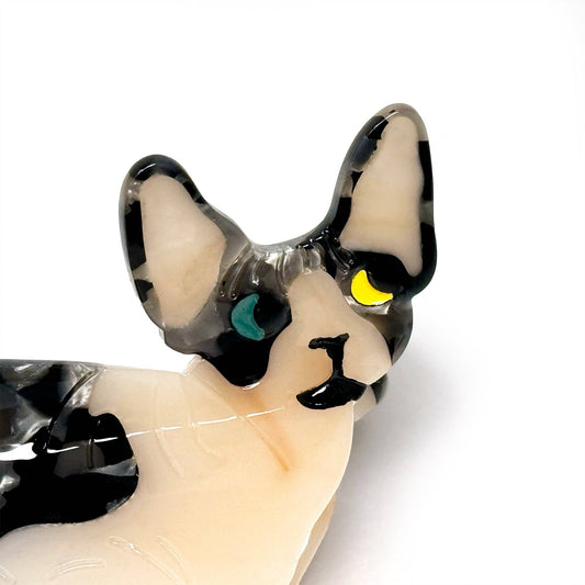 Tuxedo Hairless Cat Hair Claw Clip – Quirky & Fun Accessory