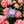 Load image into Gallery viewer, Quilt Hair Claw
