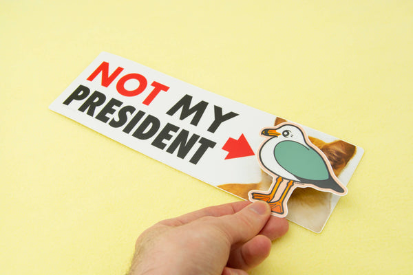 NOT My President (Kitten) Bumper Sticker