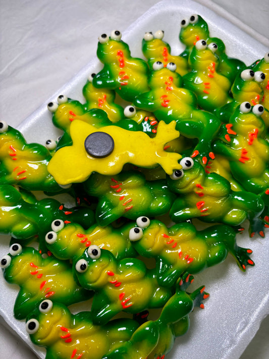 Frog Kitchen Magnet