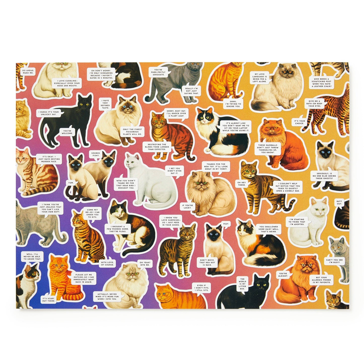 Brass Monkey Moody Cats 1000 Piece Puzzle