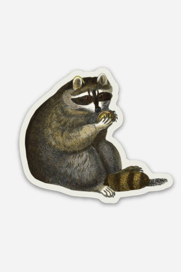 Unbothered Raccoon Sticker