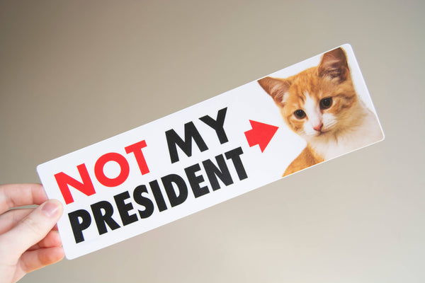 NOT My President (Kitten) Bumper Sticker