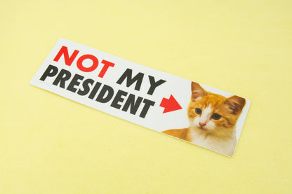 NOT My President (Kitten) Bumper Sticker