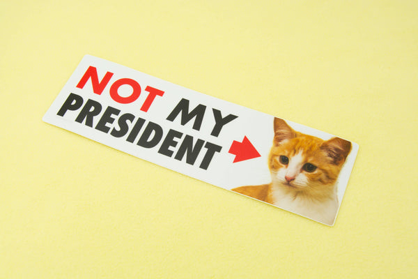 NOT My President (Kitten) Bumper Sticker
