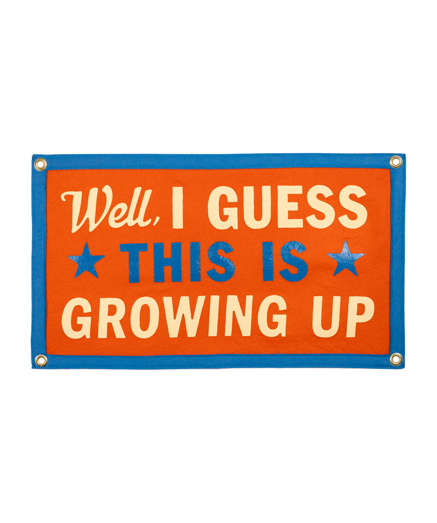 Well, I Guess This Is Growing Up Camp Flag • Blink-182 x Oxford Pennant