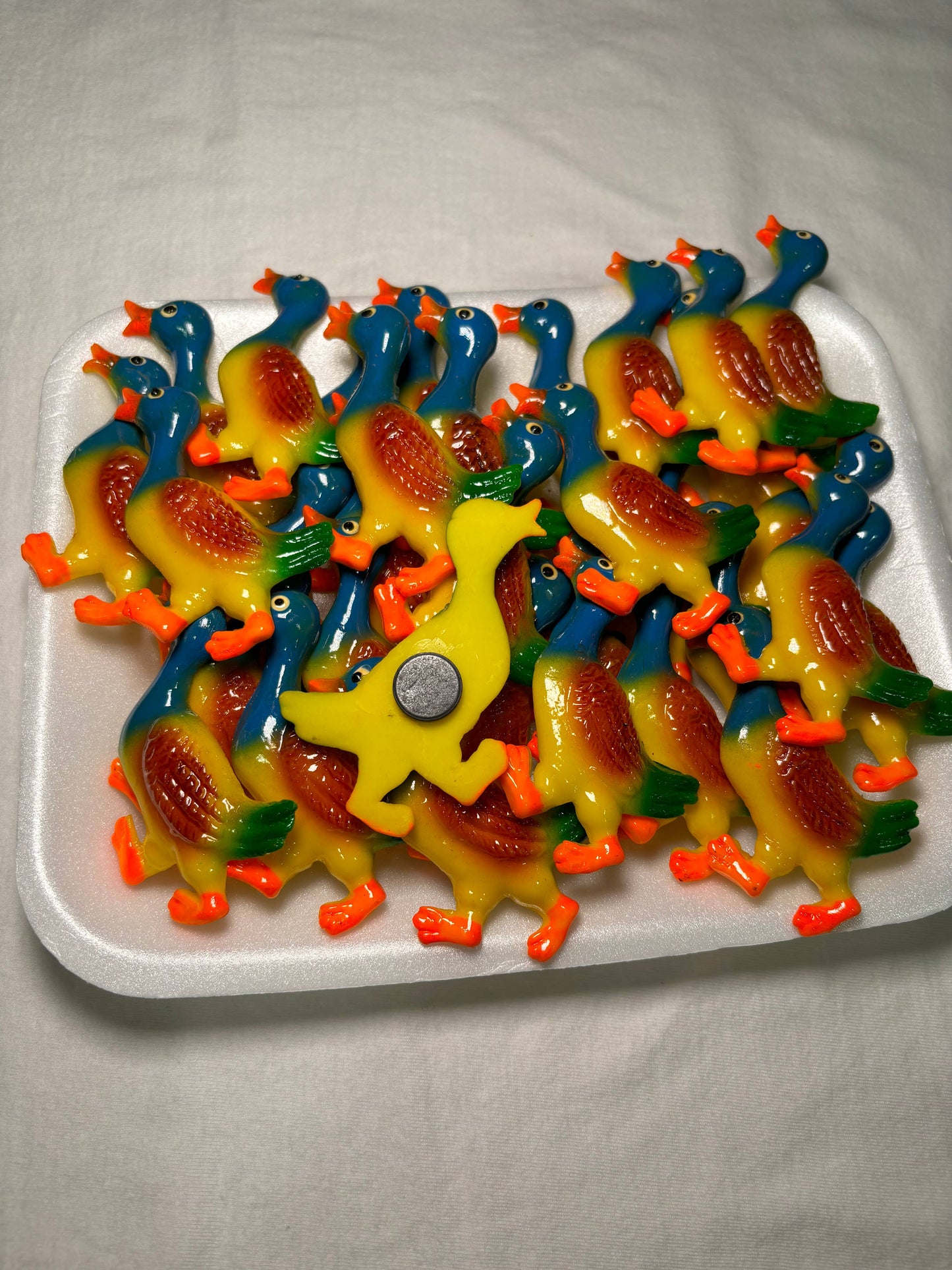 Duck Kitchen Magnet