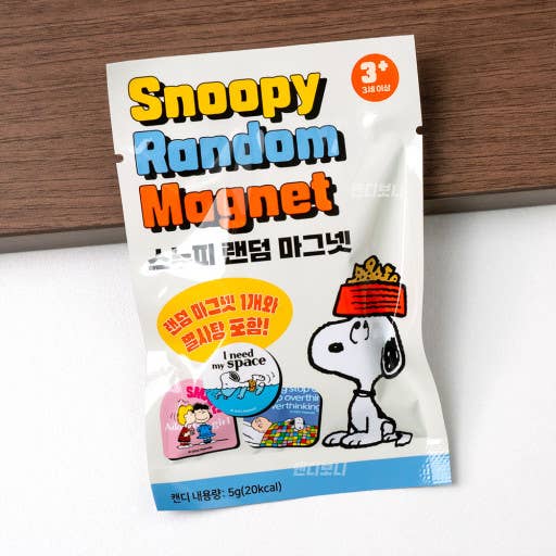 Peanuts Snoopy & Friends Tiny Magnet Mystery Blind Box
