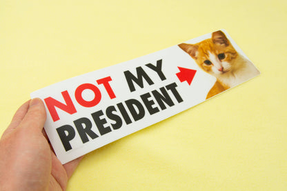 NOT My President (Kitten) Bumper Sticker