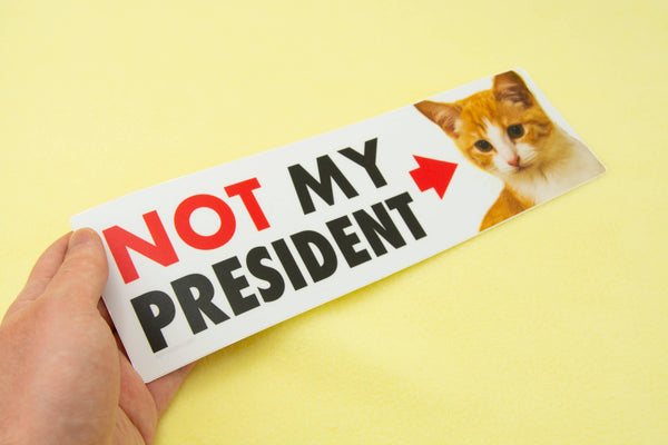 NOT My President (Kitten) Bumper Sticker