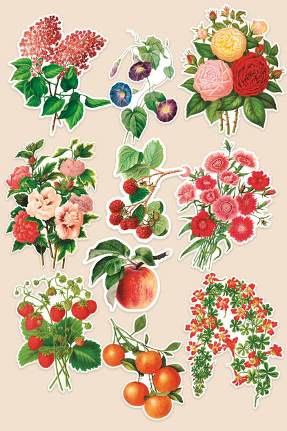 Vintage Art Stickers: Bird World