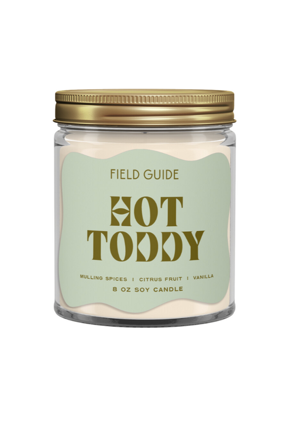 Hot Toddy Holiday Soy Candle