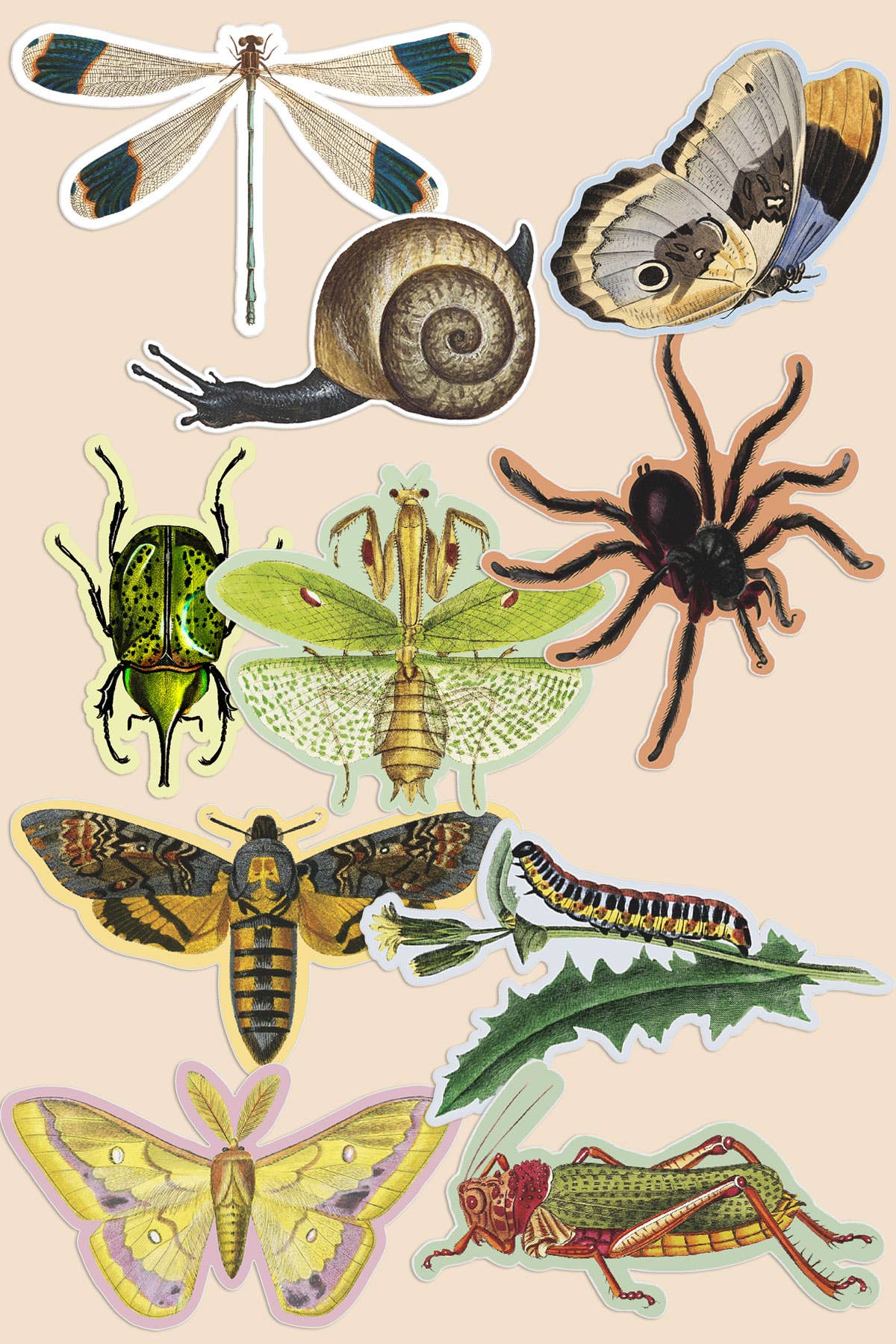 Vintage Art Stickers: Bird World