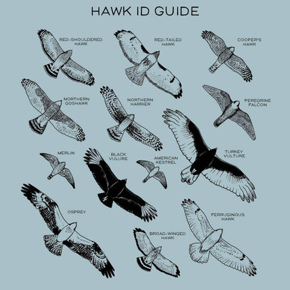 Hawks in Flight Nalgene Water Bottle | Seafoam