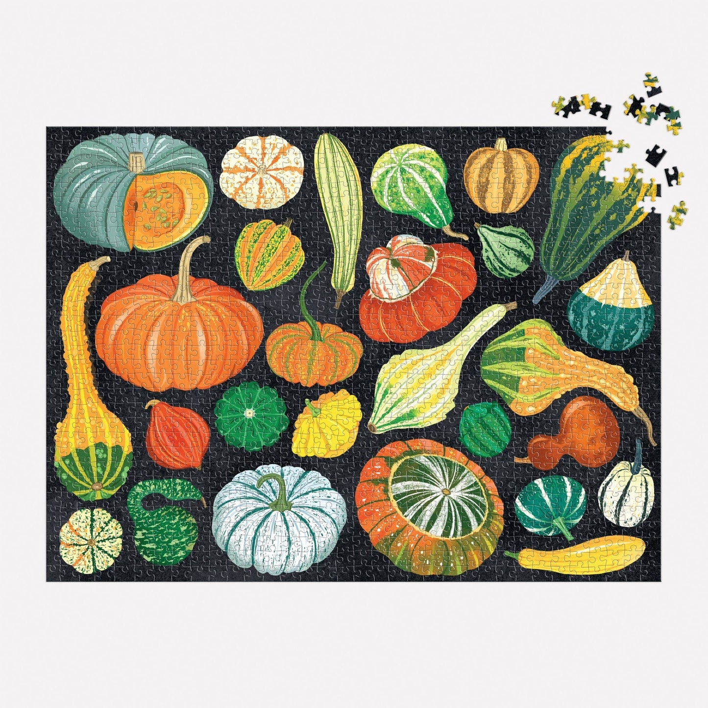 World of Pumpkins 1000 Piece Puzzle