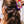Load image into Gallery viewer, Sardine Hair Claw
