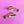 Load image into Gallery viewer, Rainbow Trout Hair Clip Set
