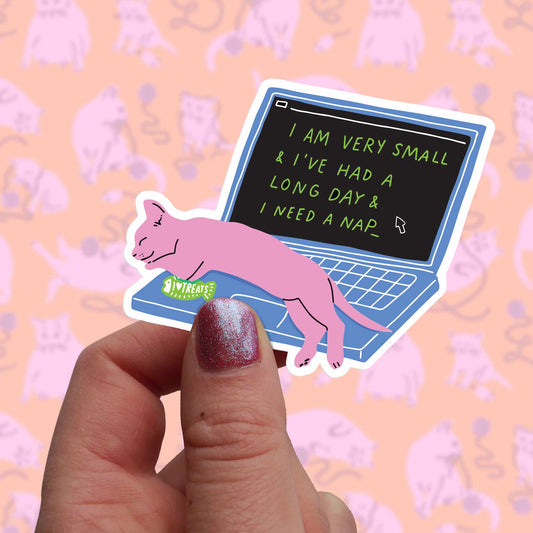 Napping Laptop Kitty Clear Vinyl Sticker