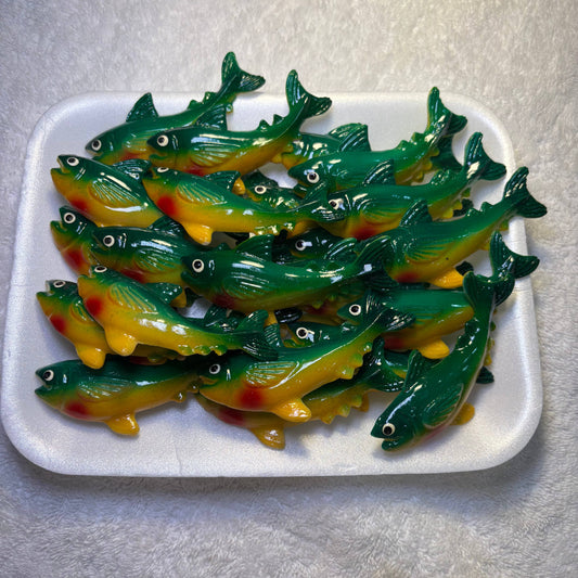 Trout Kitchen Magnet