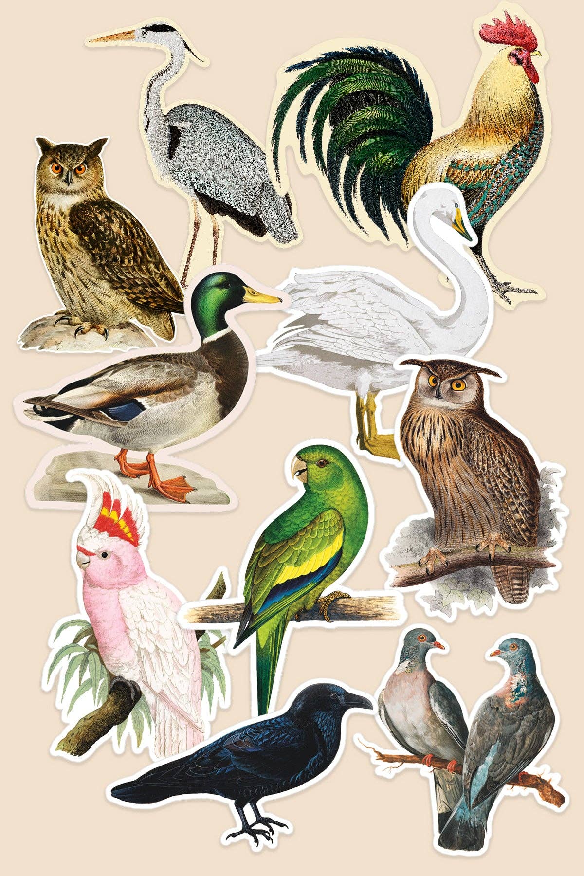 Vintage Art Stickers: Bird World