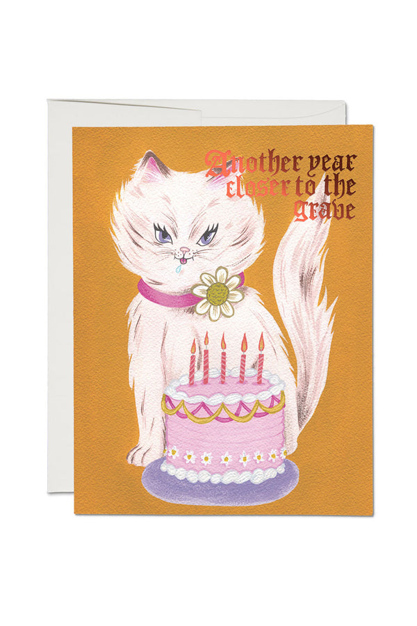 Greeting card featuring a white cat with a birthday cake. The card says Another year closer to the grave.