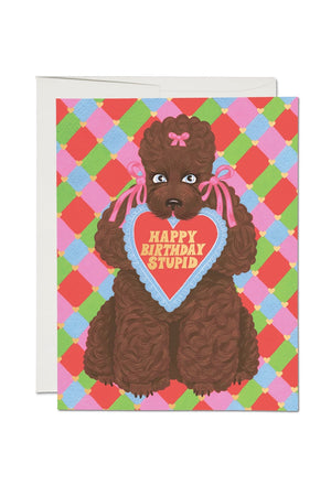 Greeting card of a brown poddle dog holding a heart card that says Happy Birthday Stupid. White bakcground.