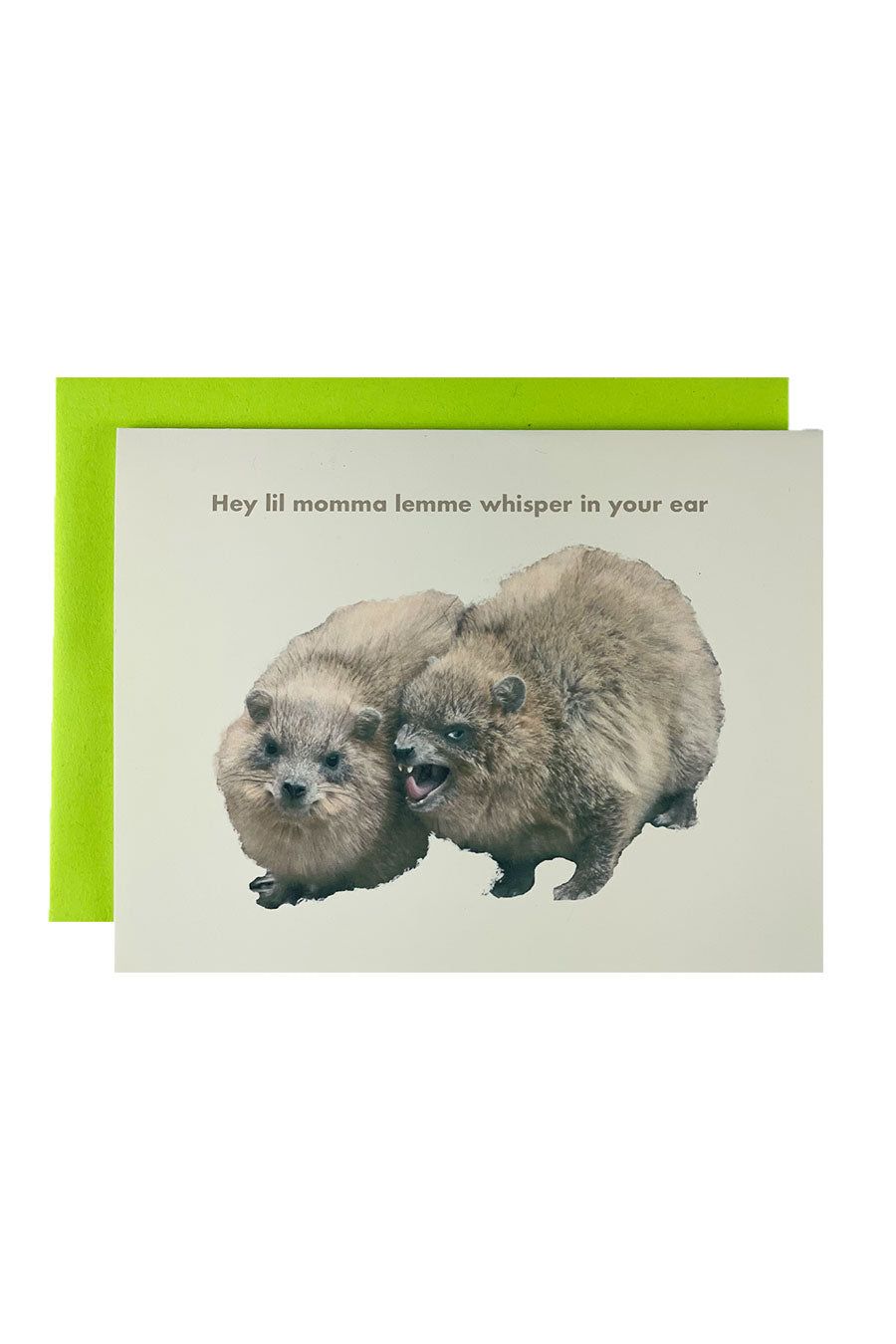Hyrax Whisper Card