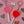 Load image into Gallery viewer, Red and Pink heart shaped lollipops with silver hardware.
