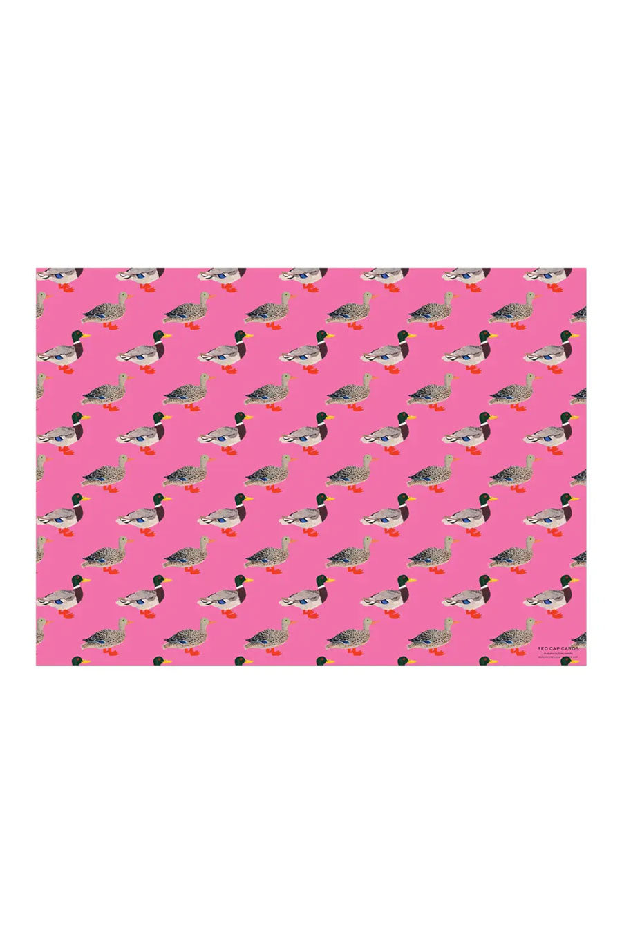 Pink wrapping paper featuring a duck pattern