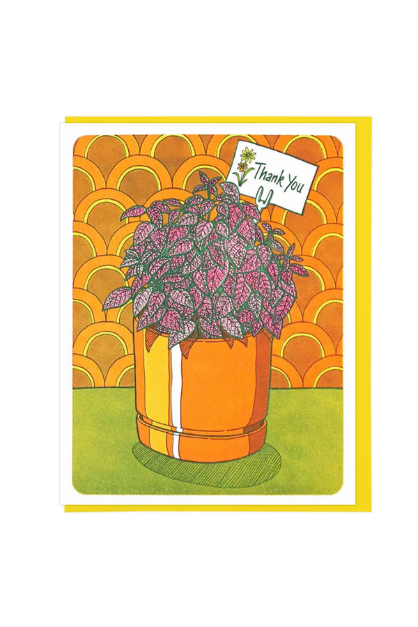 Greeting card of a pink and green polka dot plant in an orange planter against a scallop pattern orange wall. The planter is on a green table top. Yellow envelope. White background.