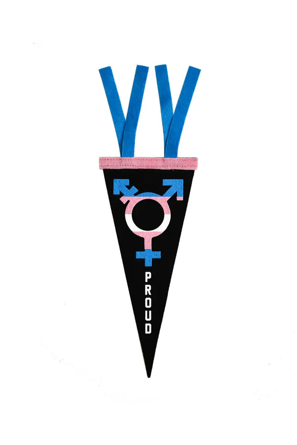 Black pennant flag with a pink edge and blue tails. The flag features a Blue Pink and White Transgender symbol. Below the symbol in white letters the pennant says Proud. White background.