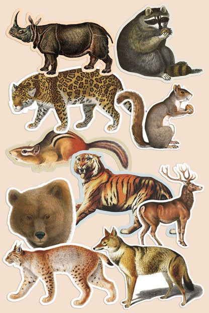 Vintage Art Stickers: Bird World