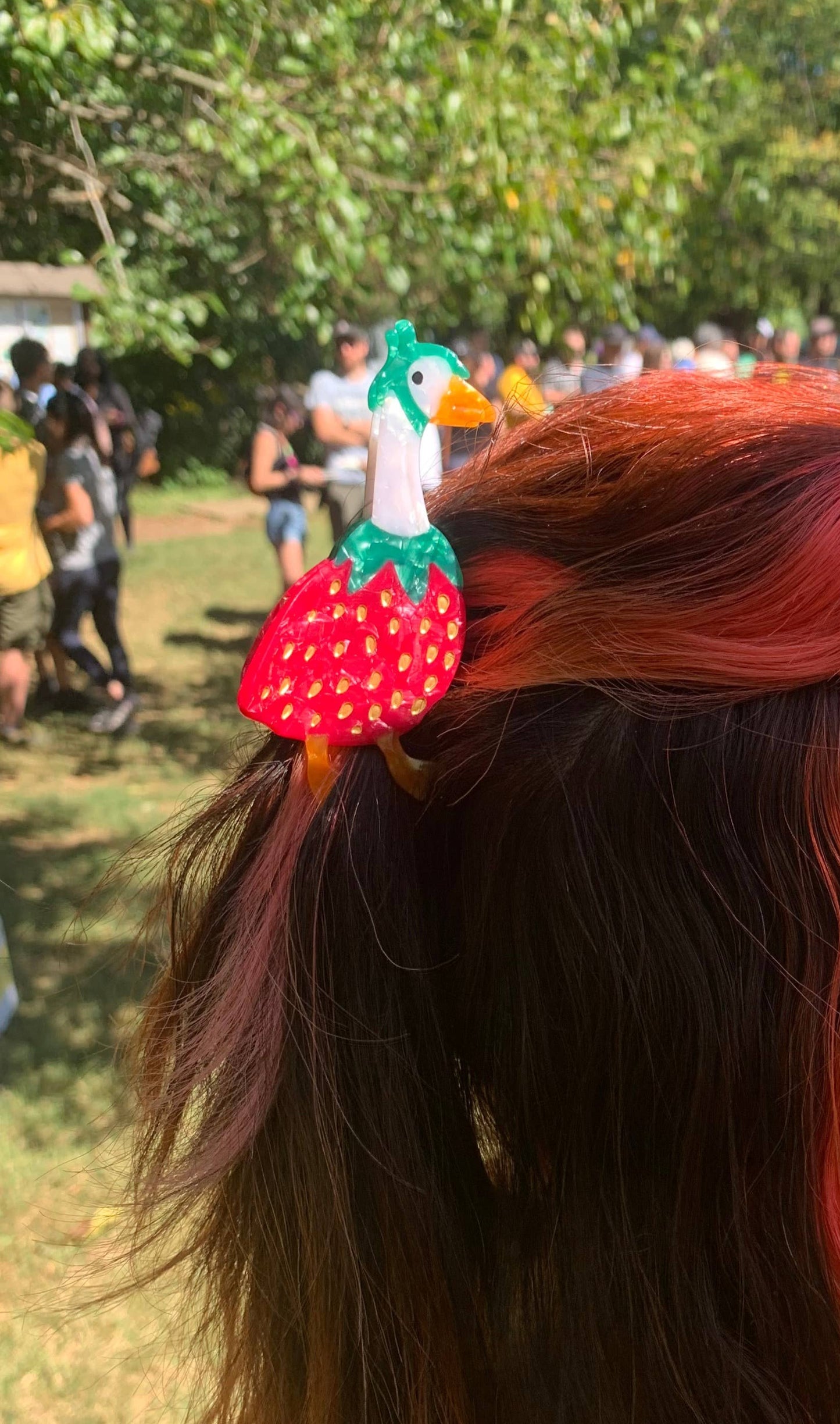 Gooseberry Hair Claw