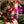 Load image into Gallery viewer, Sardine Hair Claw
