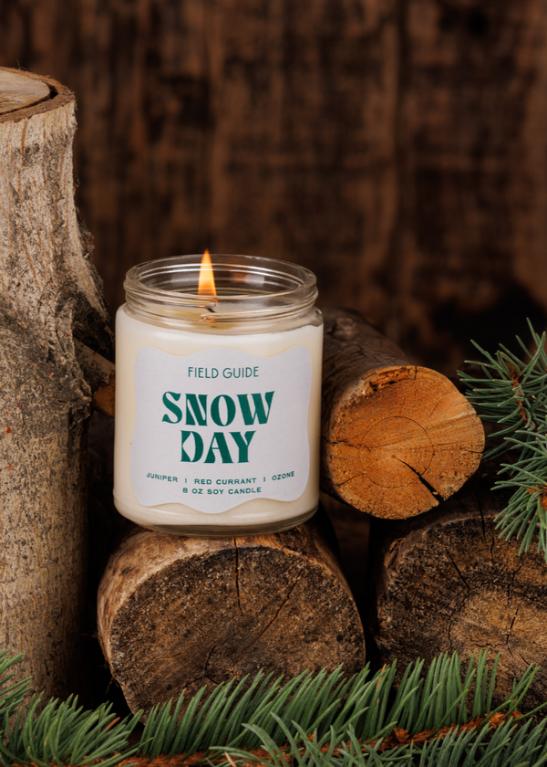 Snow Day Holiday Soy Candle