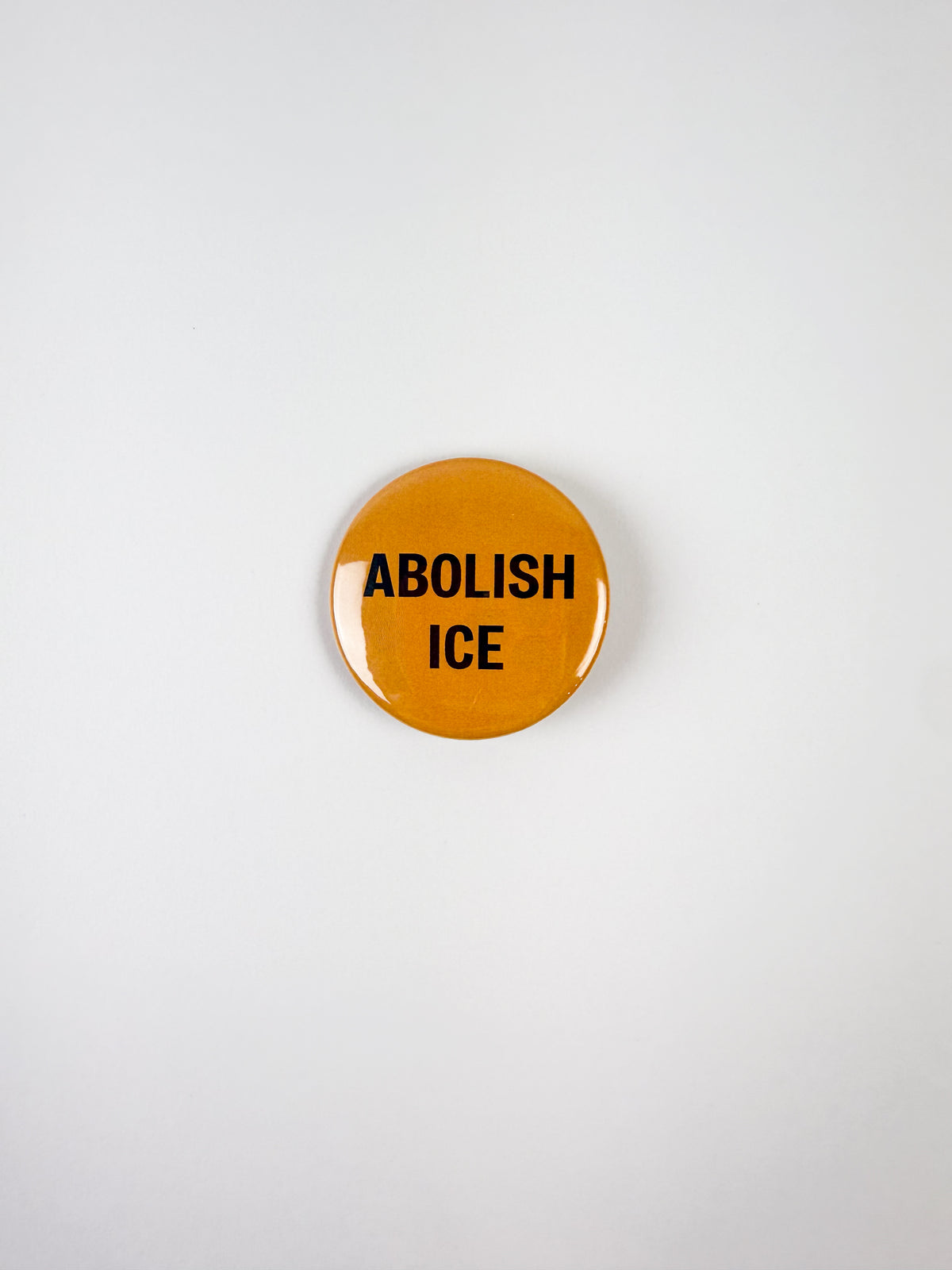 Flocking Buttons Abolish Ice Pinback Button – Culture Flock