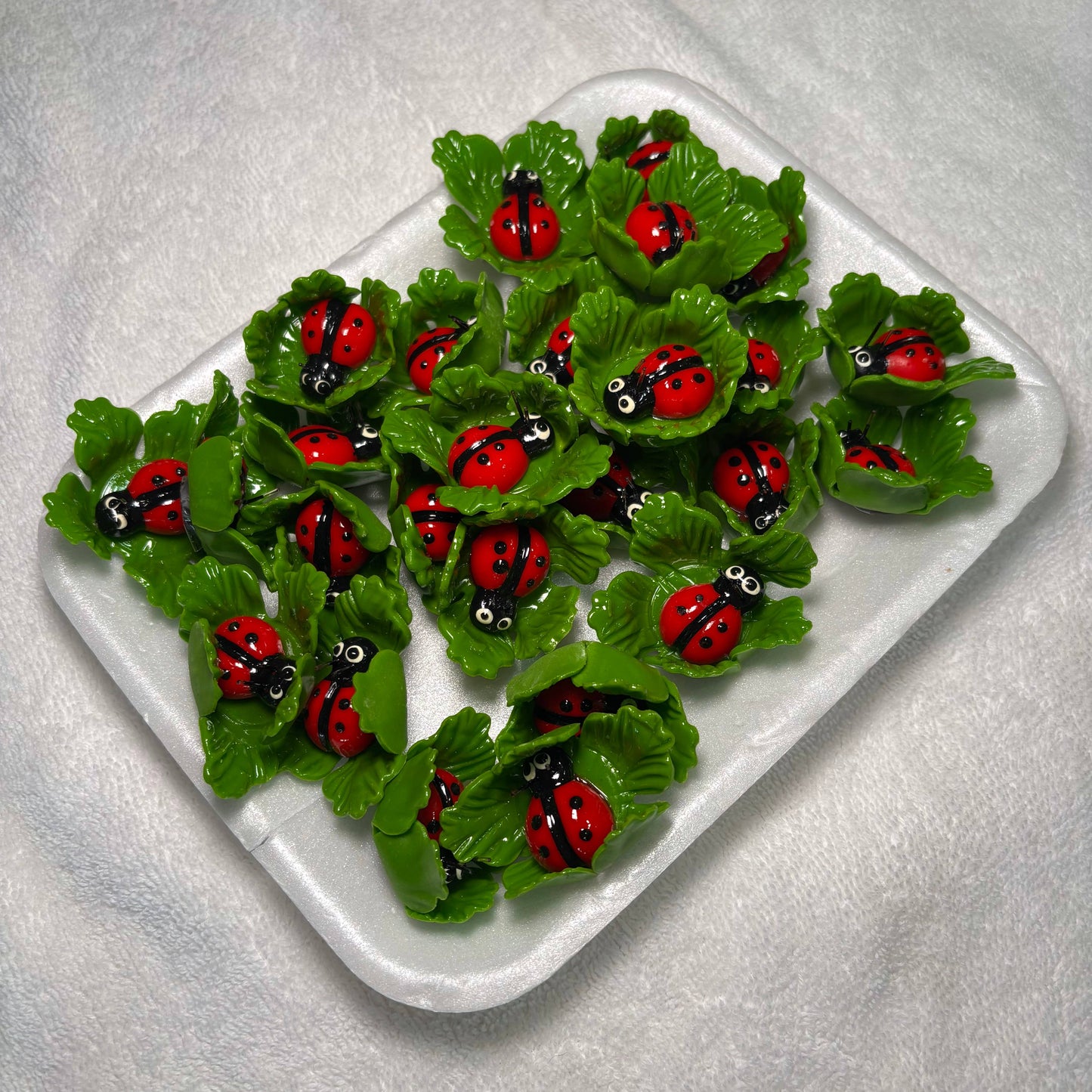 Ladybug on Leaf Kitchen Magnet